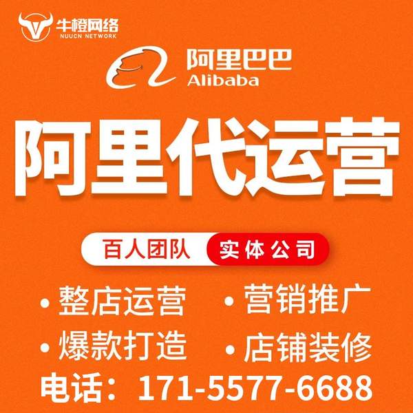 雅安电商代运营