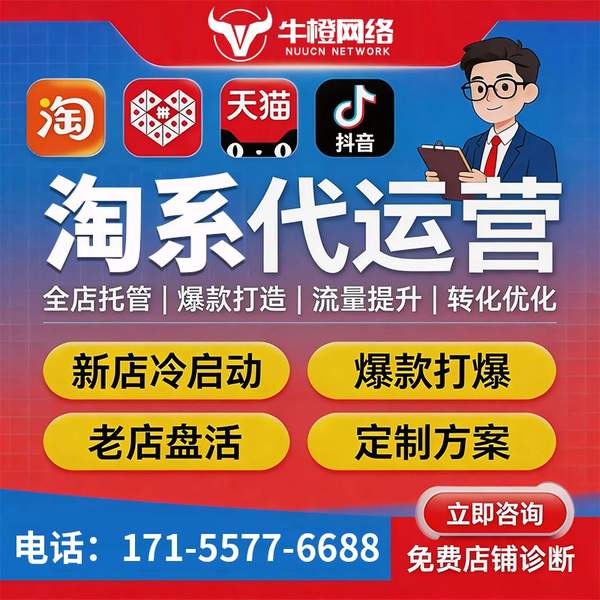 雅安电商代运营