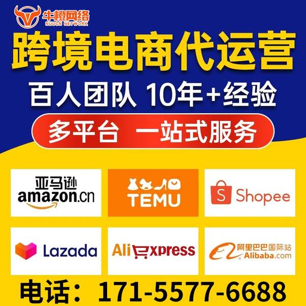 雅安电商代运营
