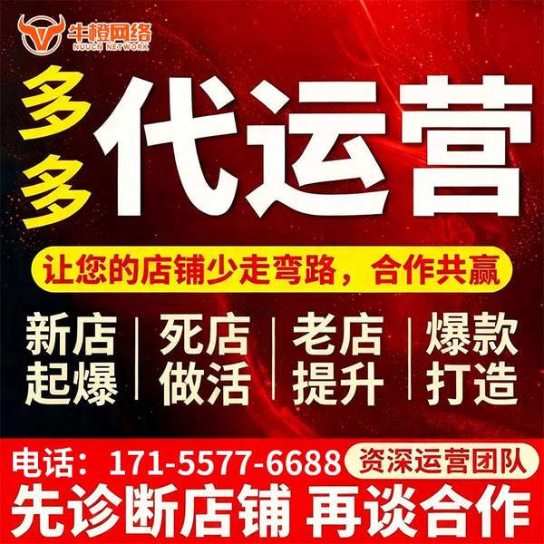 雅安电商代运营