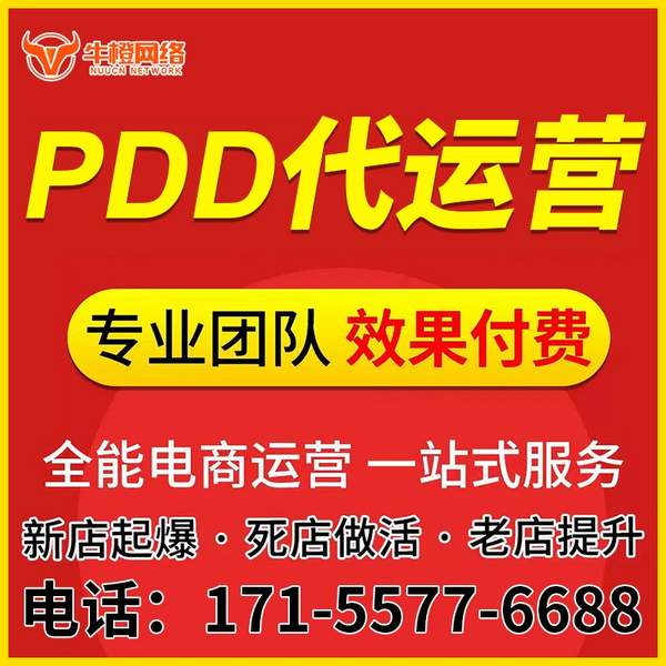 雅安电商代运营