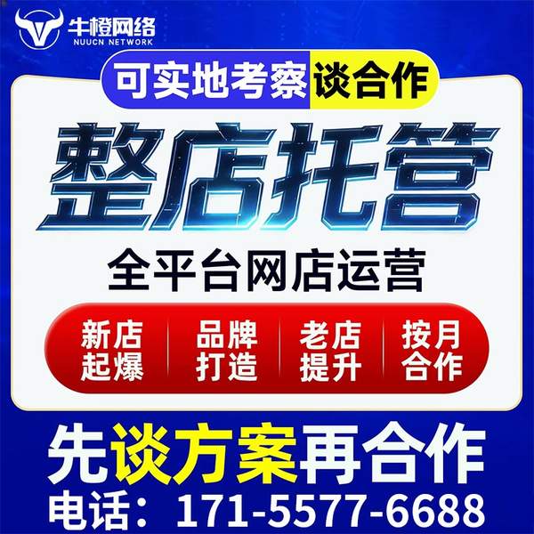 雅安电商代运营