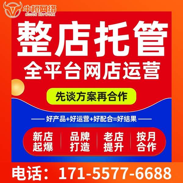 雅安电商代运营