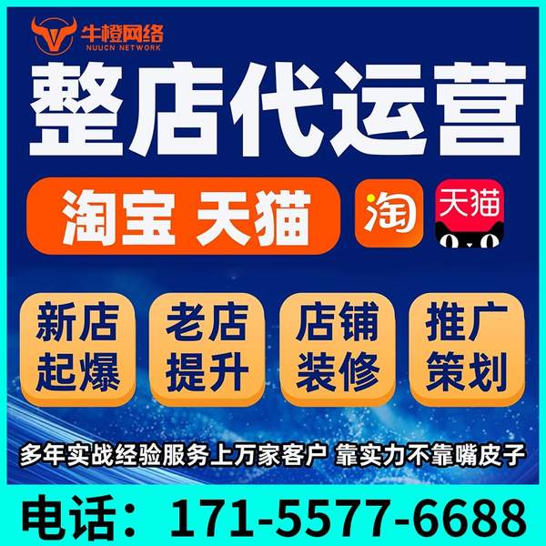 雅安电商代运营