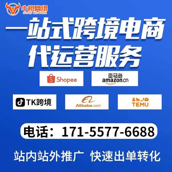 雅安电商代运营