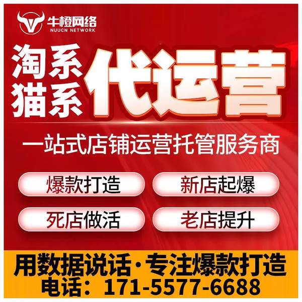 雅安电商代运营
